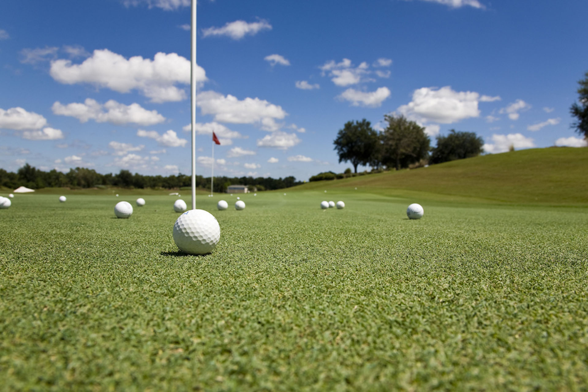 Reunion Putting